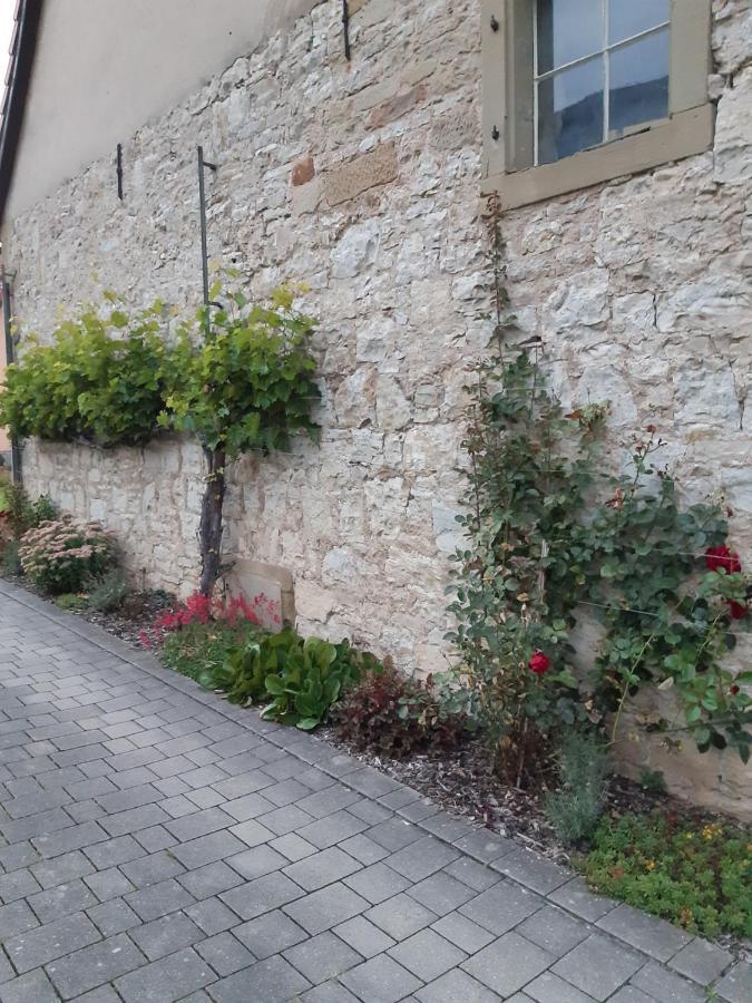 Fewo Koerner Seinsheim Im Weinparadies Extérieur photo